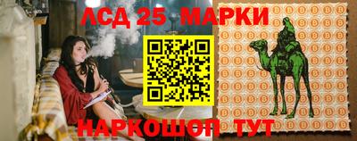 прущие грибы Железногорск