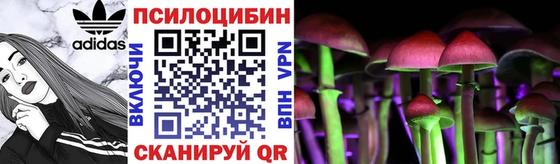 Псилоцибиновые грибы Psilocybine cubensis Котлас