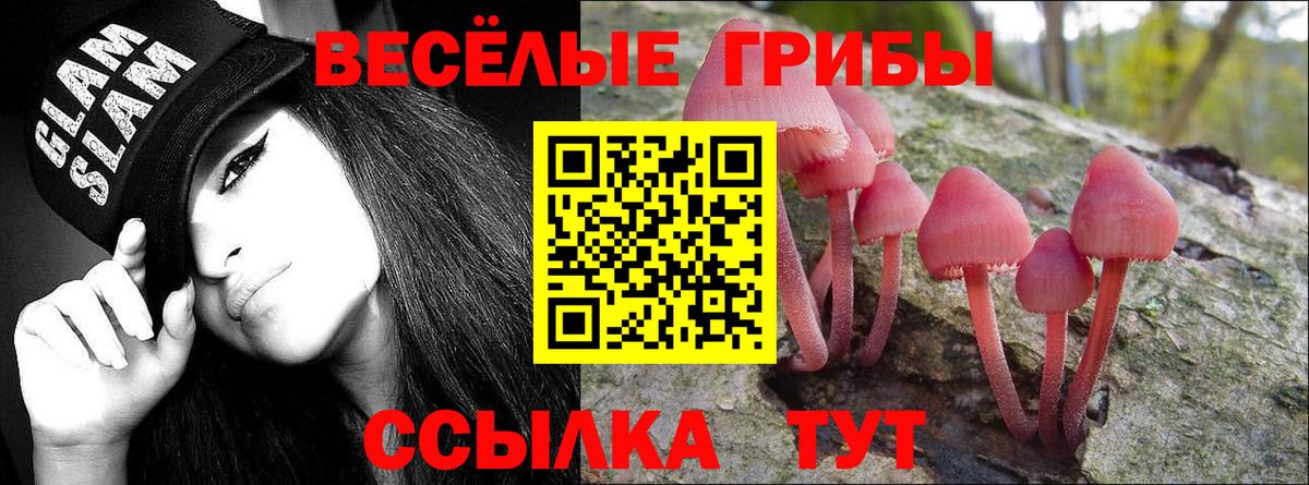 Галлюциногенные грибы мицелий Котлас