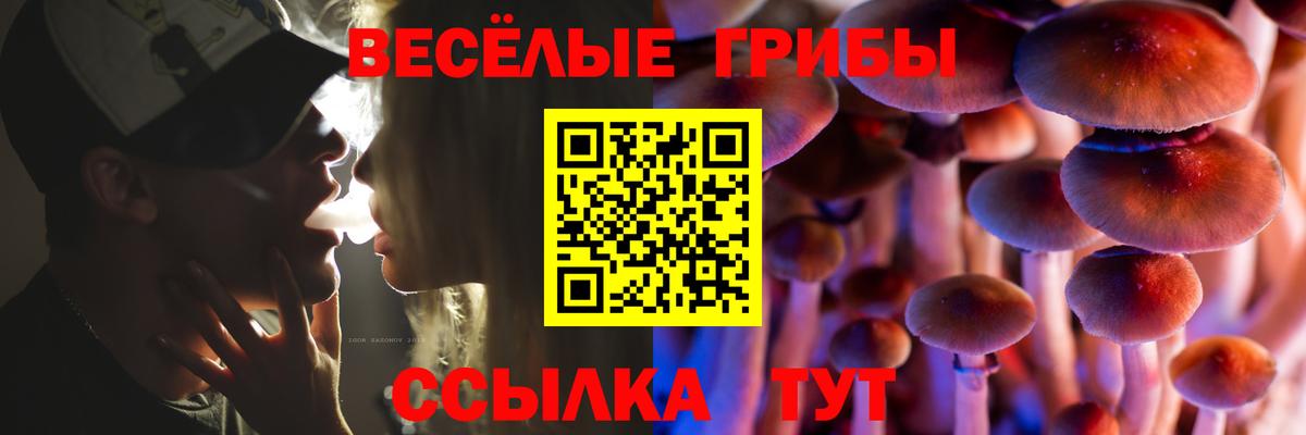Котлас  Галлюциногенные грибы прущие грибы  Вход с VPN  Псилоцибиновые грибы прущие грибы 